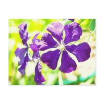 Clematis Postcard