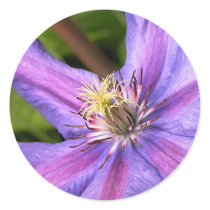 Clematis Sticker