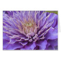 Clematis Vyvvyan Pennell cards