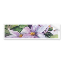 CLEMATIS - WATERCOLOUR BUMPER STICKER