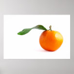 CLEMENTINE PRINT