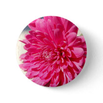 Cleopatra Logo Pins