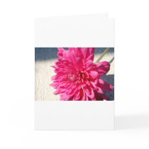 Cleopatra Logo Greeting Cards
