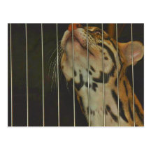 Cleveland Zoo Post Card