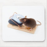 Clever Mouse Mouse Mat