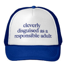 Cleverly Disguised Hats