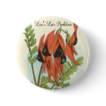 Clianthus dampieri - Sturt's Desert Pea buttons