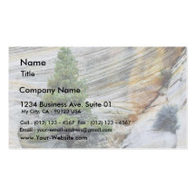 Cliff Near The Chequerboard Mesa Region Of Zion Na Business Cards