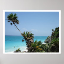 Cliff Palm Poster