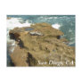 Cliffs in San Diego, CA Postcard