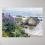 Cliffside Ocean View Posters