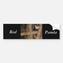 Climbing Panda Bumper Sticker