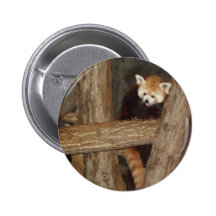 Climbing Panda Button