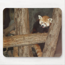 Climbing Panda Mousepad