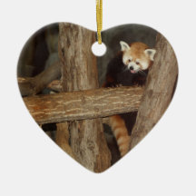 Climbing Panda Ornament