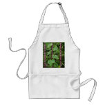 Climbing plants aprons