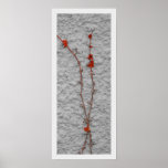 Climbing posters