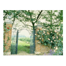Climbing Roses Beside Wrought-Iron Gate flower Post Cards