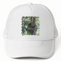 Climbing Sloth Baseball Hat