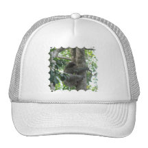 Climbing Sloth Baseball Hat