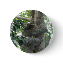 Climbing Sloth Button