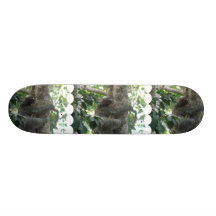 Climbing Sloth  Skateboard