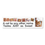 Clipboard01, new, new2, Tastes  just  as  Sweet... bumper stickers
