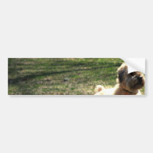 Clipped Old English Sheepdog Bumper Sticker
