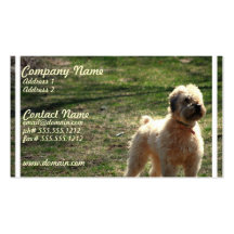 Clipped Old English Sheepdog Business Card