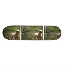Clipped Old English Sheepdog Skateboard