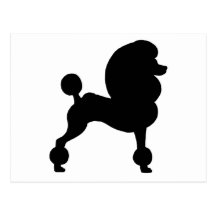 Clipped Standard Poodle Post Card