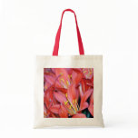 Clivia lily flower and origin bags