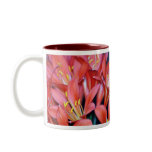 Clivia lily flower and origin mugs