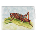 Clockwork Cricket cards