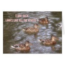 Clone duck cards
