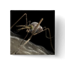 Close up 3d mosquito biting buttons