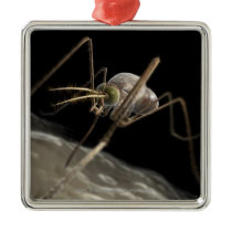 Close up 3d mosquito biting christmas ornaments