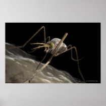 Close up 3d mosquito biting print