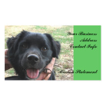 Close Up Cocker Spaniel Business Card
