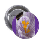CLOSE-UP CROCUS PIN