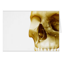 Close up frontal view of the brain inside a skull greeting card