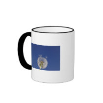 Close-up of a dandelion mugs