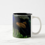 Close-up of a peacock coffee mug