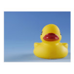 Close-up of a rubber duck postcard