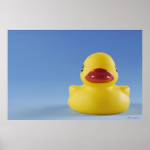 Close-up of a rubber duck posters