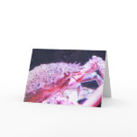 Close up of a Spider crab cards