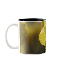 Close Up of a Yellow/Orange Daffodil Coffee Mug