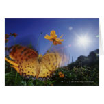 Close-up of butterfly, flapping wings greeting cards