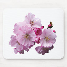 Close Up of Cherry Blossoms Mouse Pads