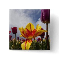 Close Up of Colourful Blooming Tulips In Oregon Pinback Button